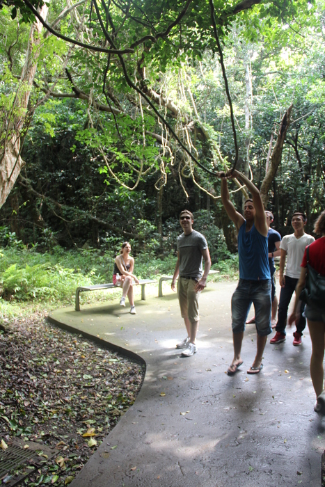 2014 Fieldtrips圖片